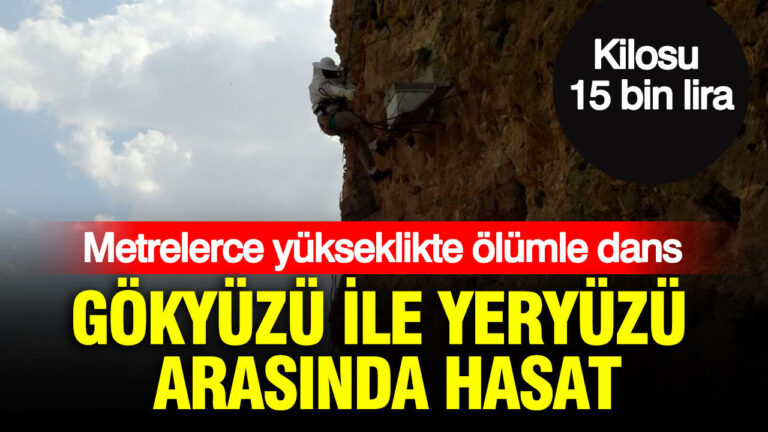 haber-gorseli-1786526053963
